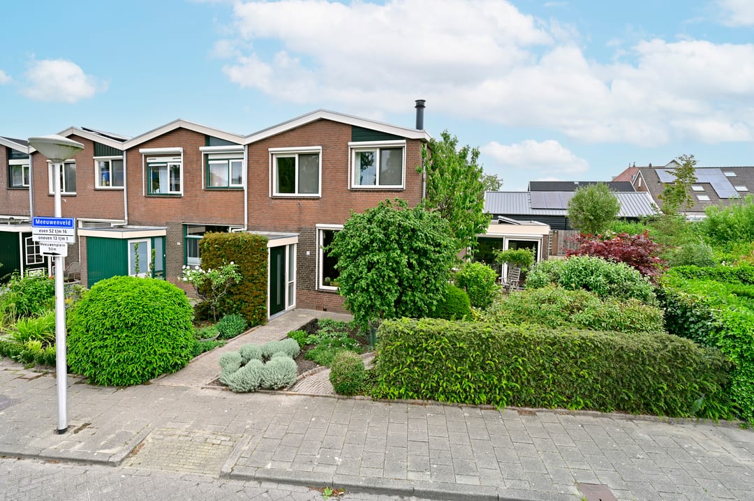 Foto 2 van Meeuwenveld 16