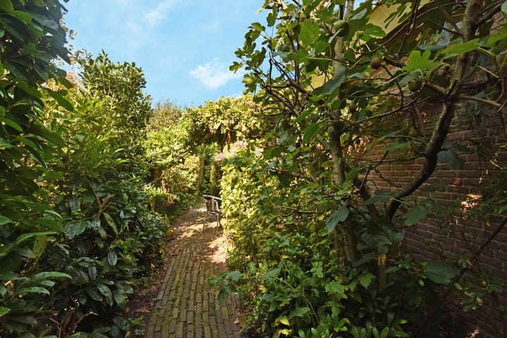 Photo 63 of Schielandweg 14