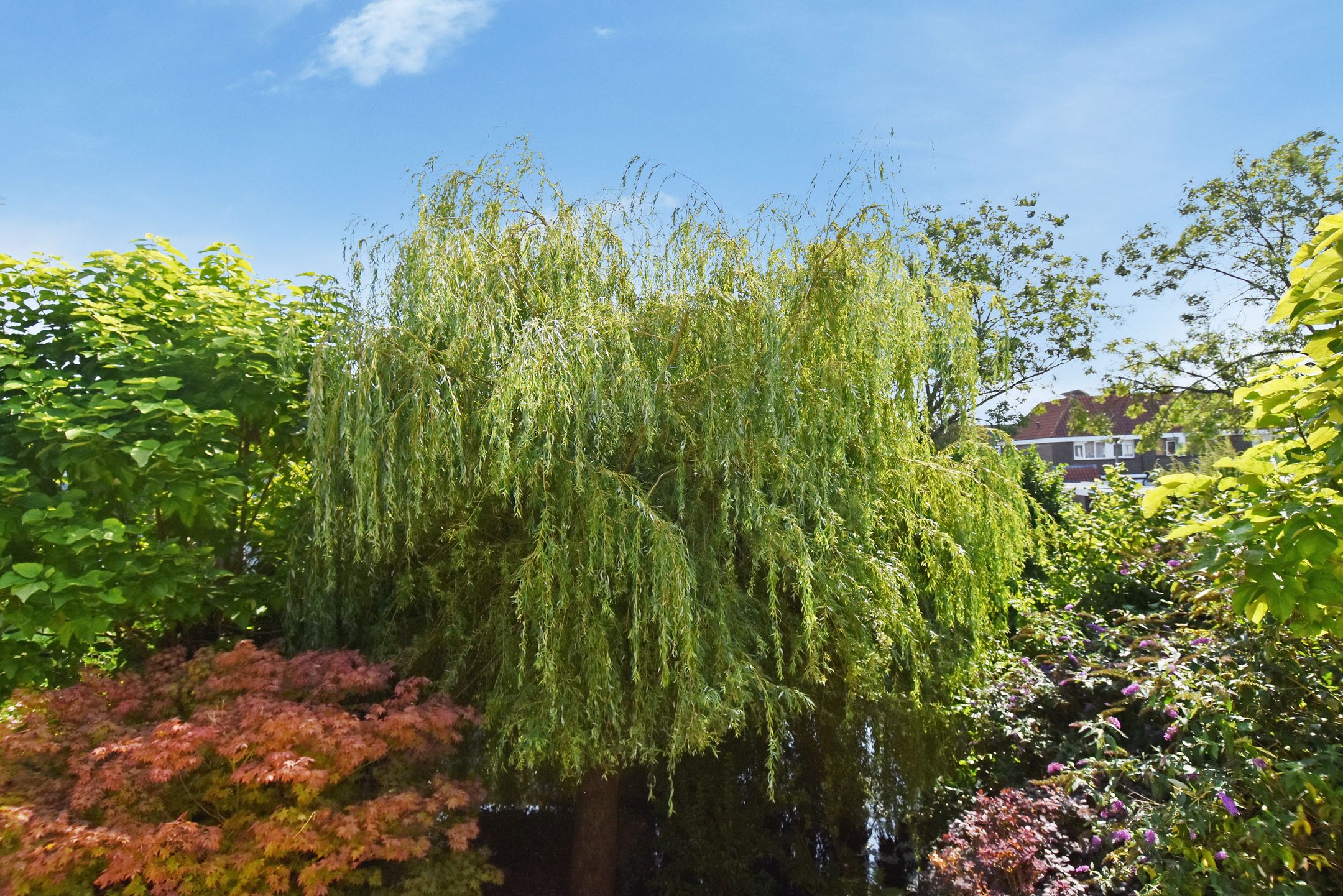 Foto 69 van Schielandweg 14