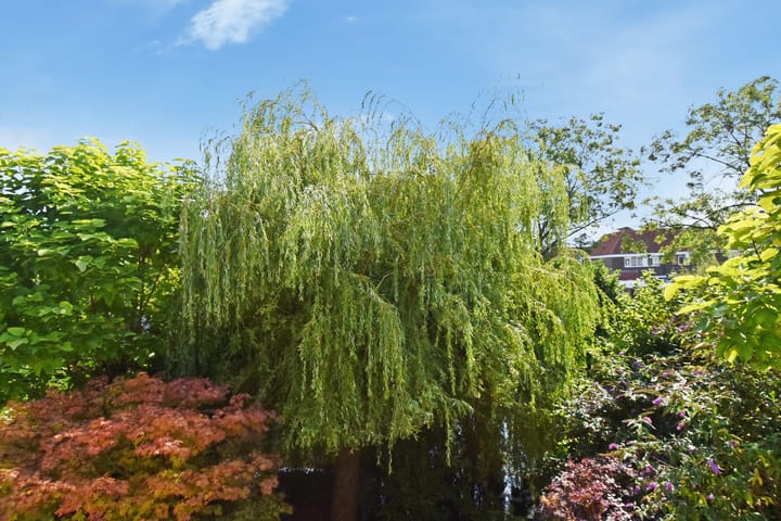 Photo 69 of Schielandweg 14