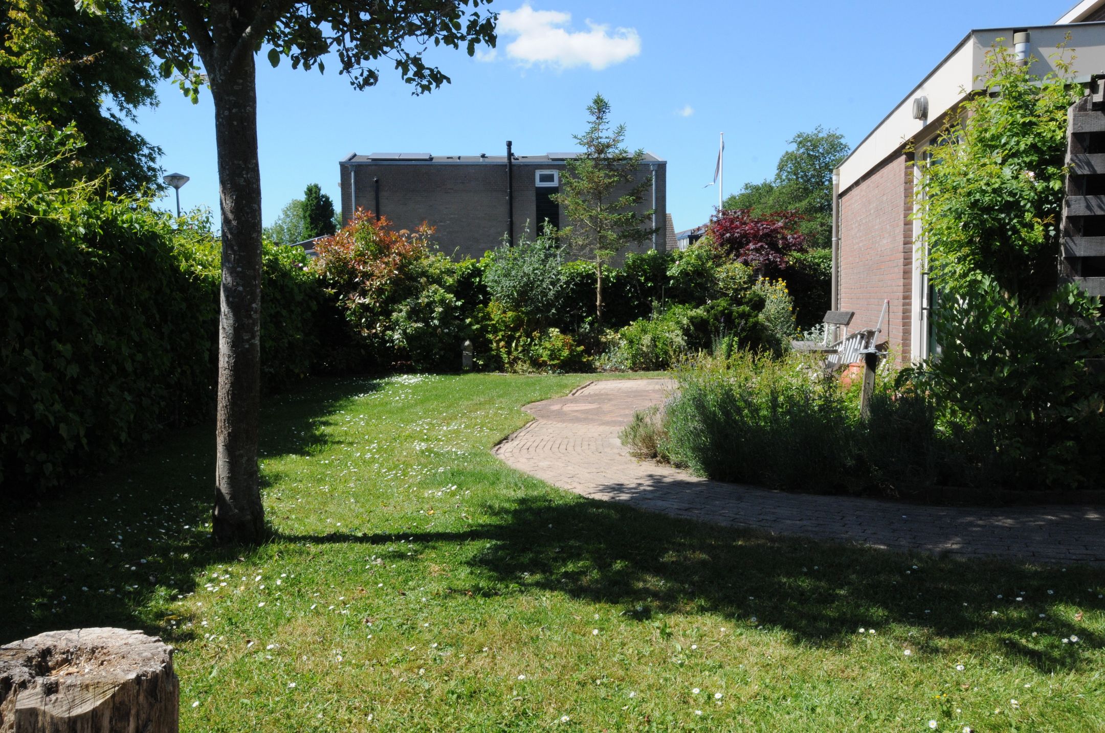 Foto 24 van Meeuwenveld 16