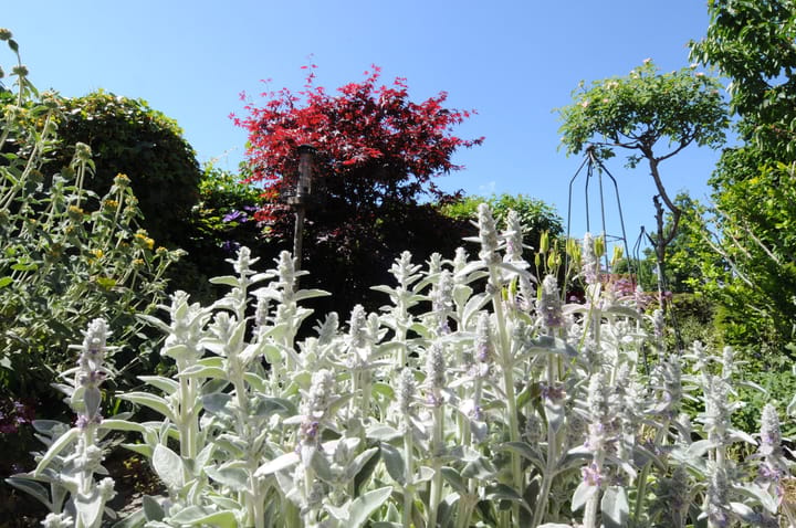 Photo 27 of Meeuwenveld 16