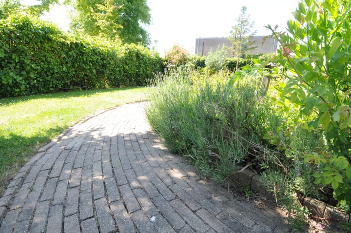 Photo 28 of Meeuwenveld 16