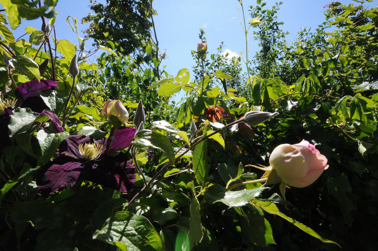 Foto 25 van Meeuwenveld 16