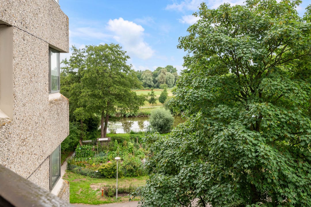 Photo 37 of Groenhoven 729