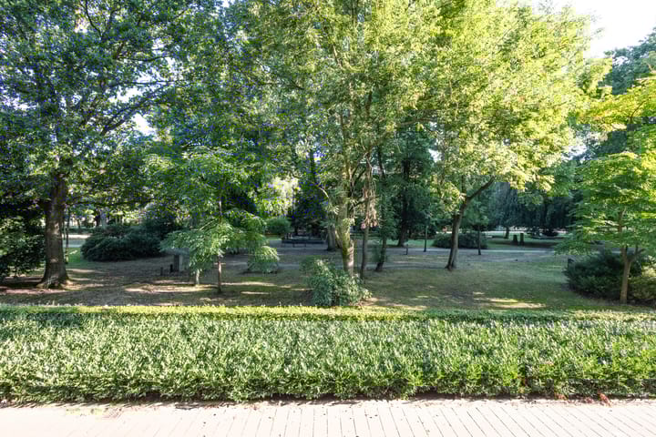 Foto 35 van Oltmansstraat 14