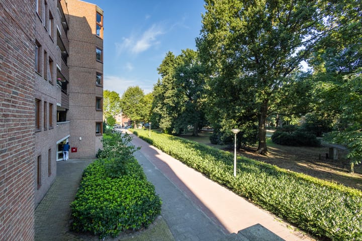 Foto 36 van Oltmansstraat 14