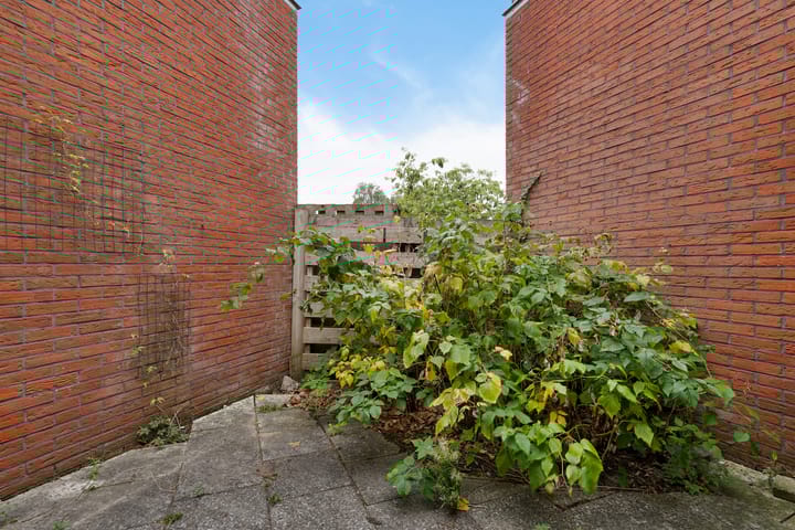 Foto 32 van Jol 24 39