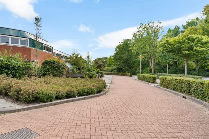 Foto 3 van Jol 24 39