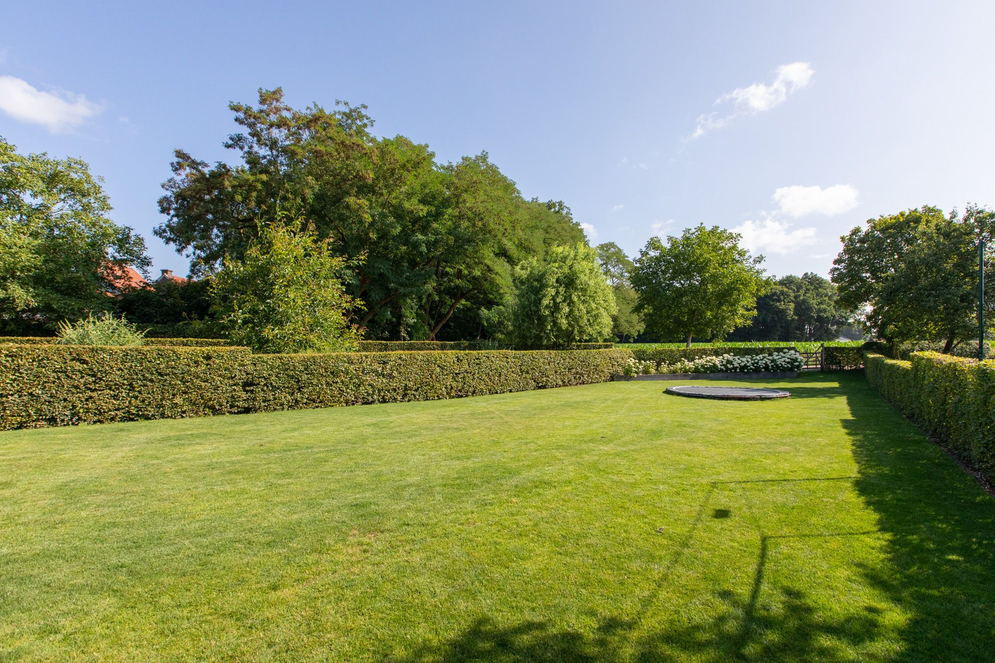 Foto 48 van Kerkstraat 187