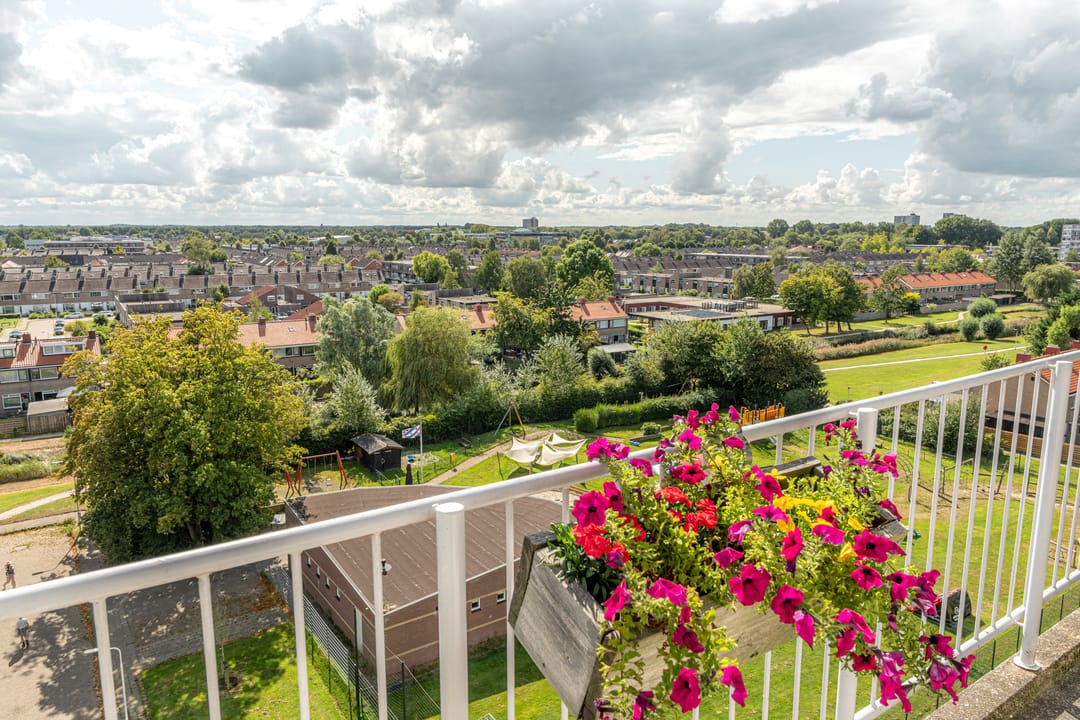 Photo 23 of Sint Jansberg 376