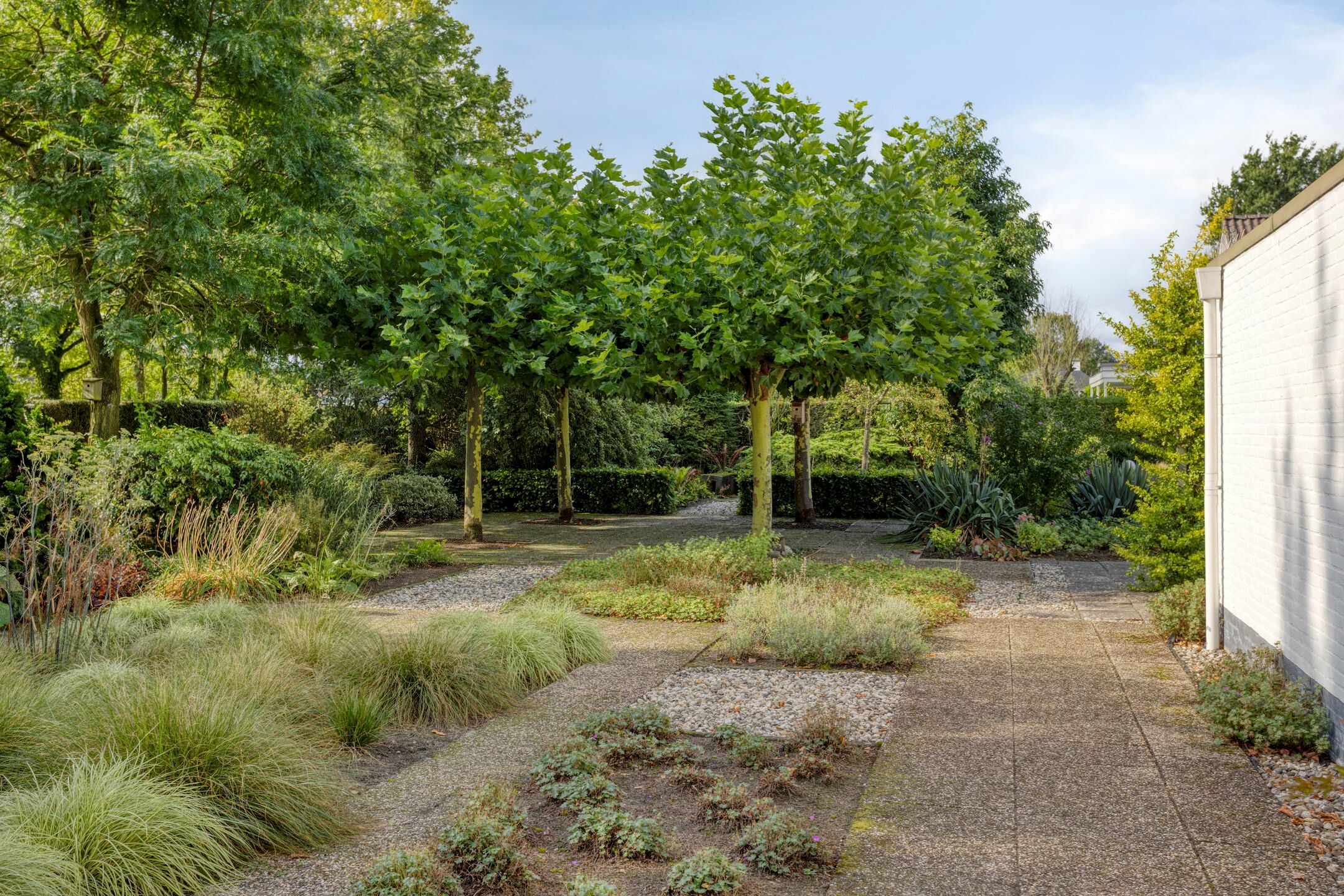 Photo 33 of de Gervelink 26