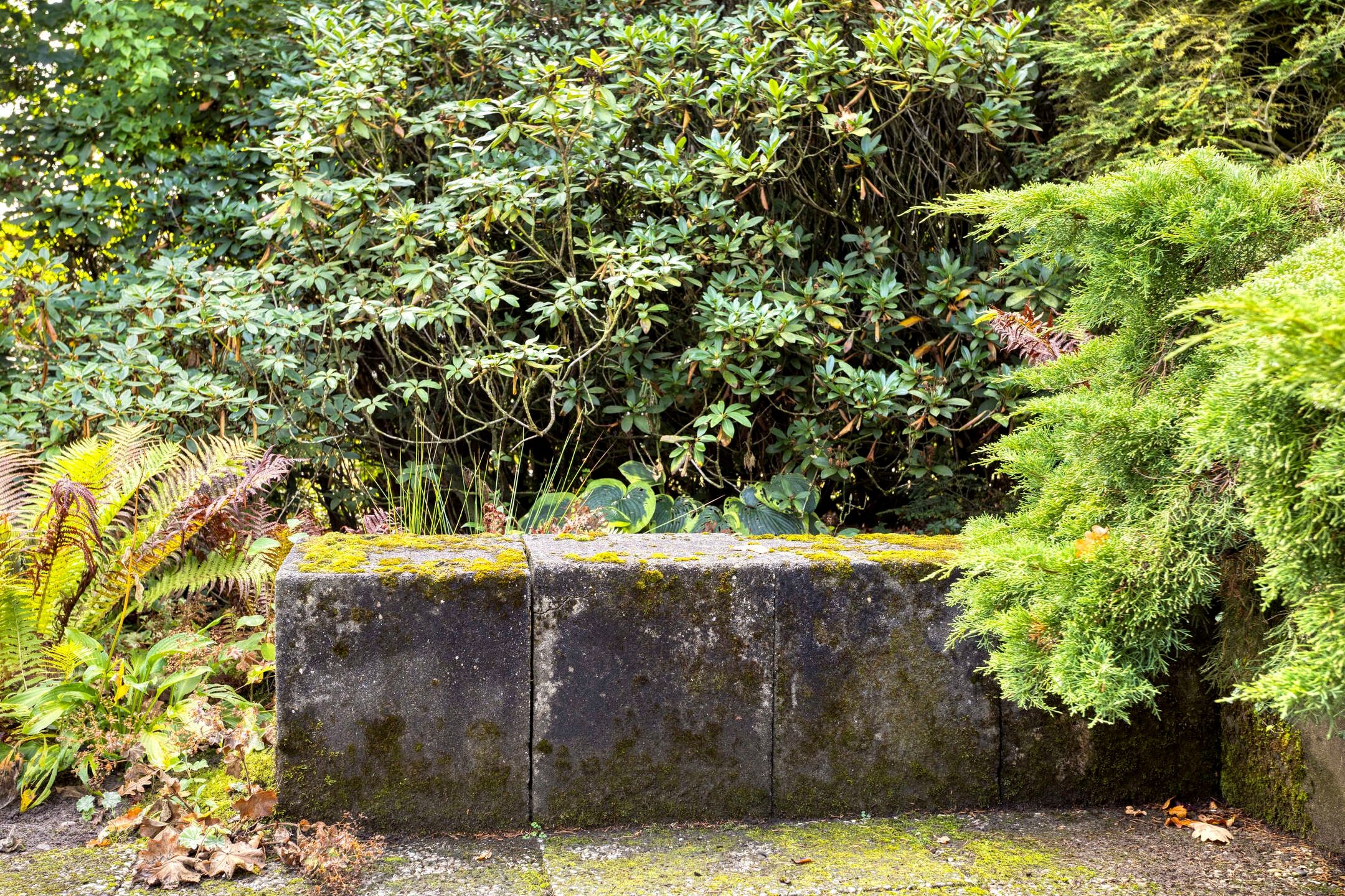 Photo 39 of de Gervelink 26