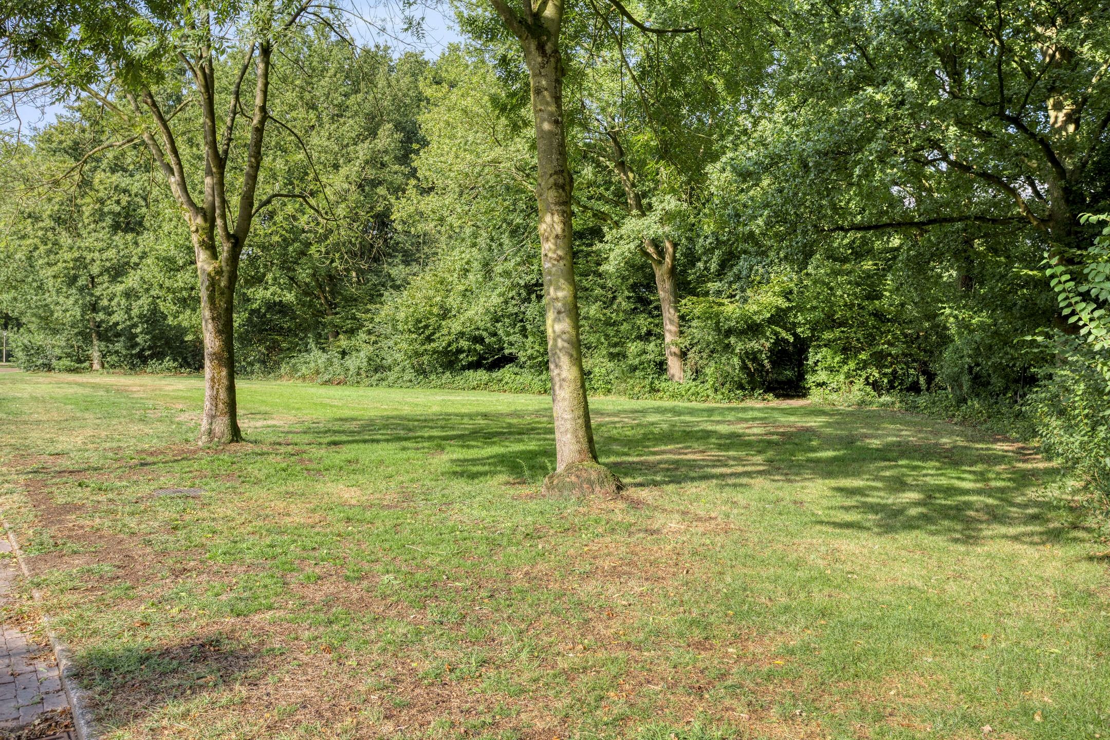 Photo 42 of de Gervelink 26