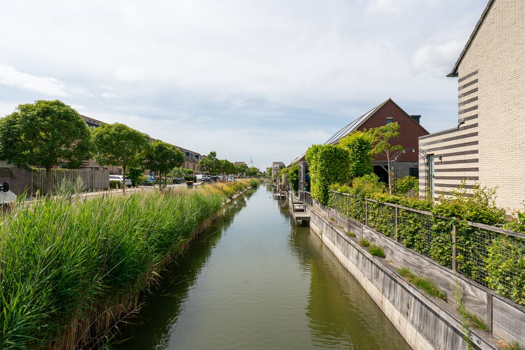 Foto 61 van Eiland van Maui 2