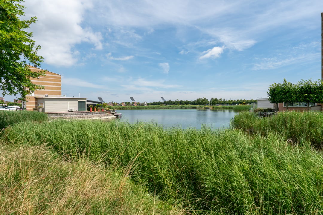 Foto 62 van Eiland van Maui 2