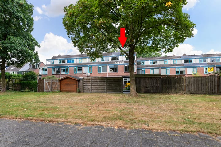 Foto 4 van Majoraan 29