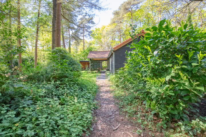 Photo 39 of Laan van Laag Kanje 13-R1