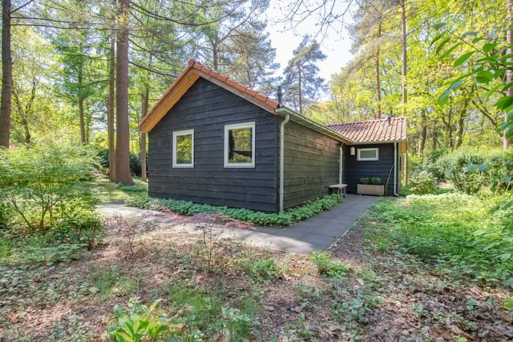 Photo 41 of Laan van Laag Kanje 13-R1