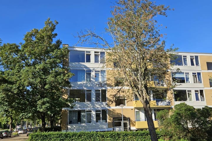 Foto 3 van Van Ostadelaan 8