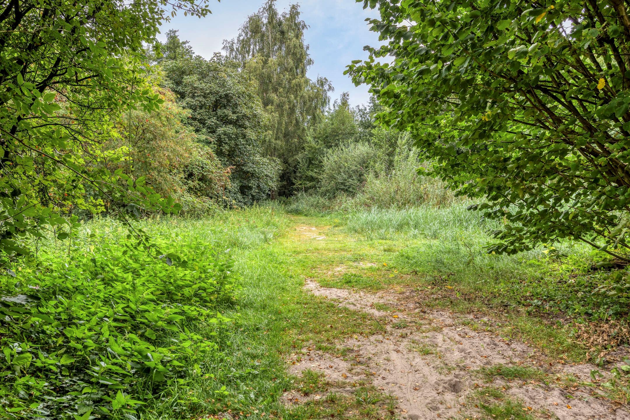 Photo 42 of Haasdijk 57
