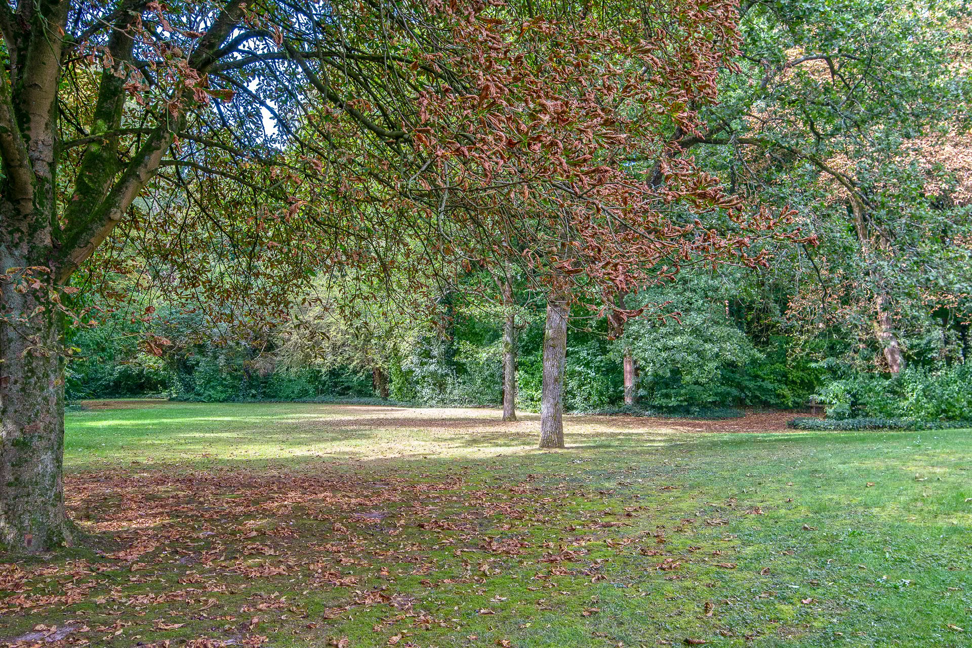 Foto 27 van Wilbertsheem 8