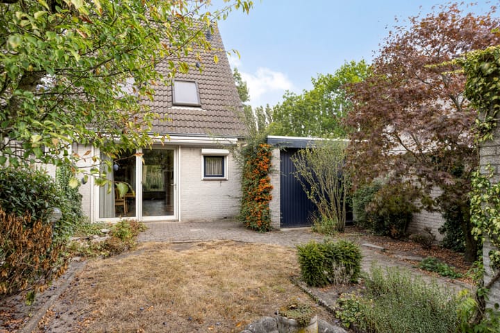 Foto 36 van David 't Kindtstraat 8