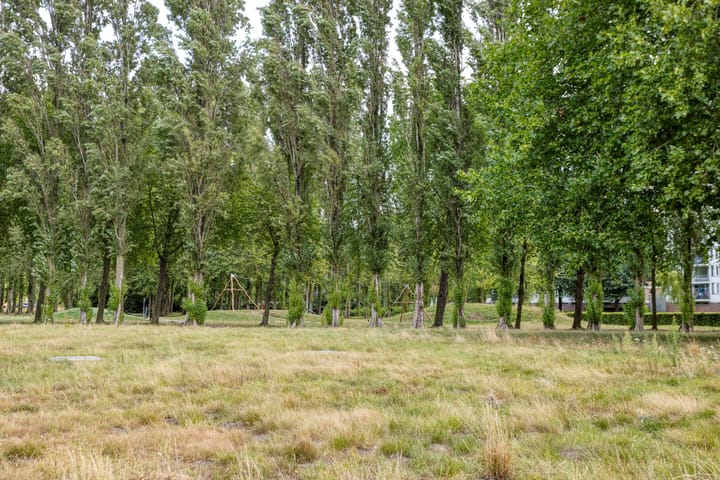 Foto 37 van David 't Kindtstraat 8