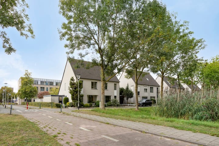 Foto 38 van David 't Kindtstraat 8