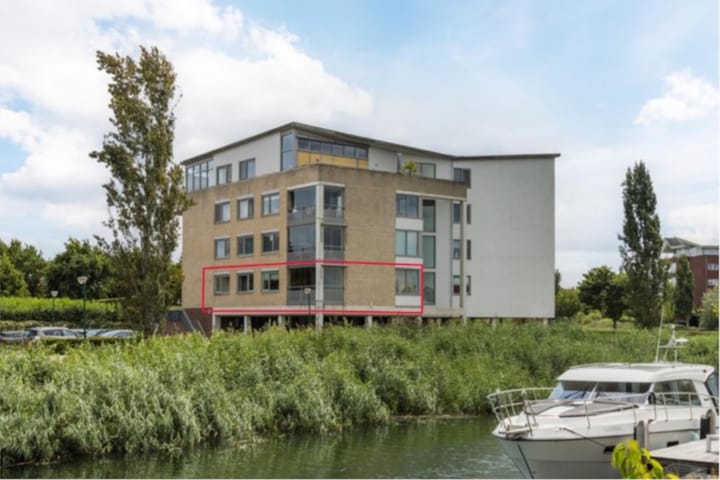 Photo 1 of Lavendel 449