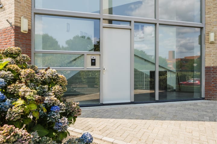 Photo 3 of Lavendel 449