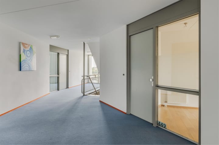 Photo 6 of Lavendel 449