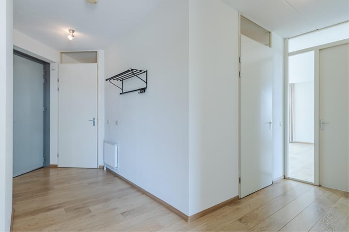 Photo 8 of Lavendel 449