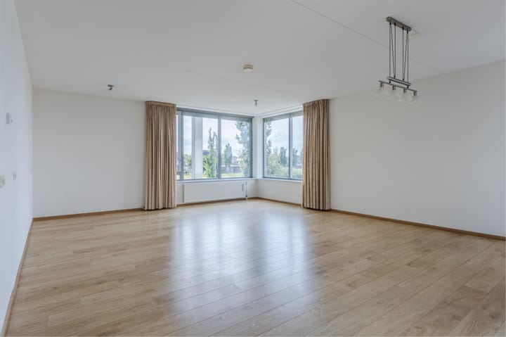 Photo 9 of Lavendel 449