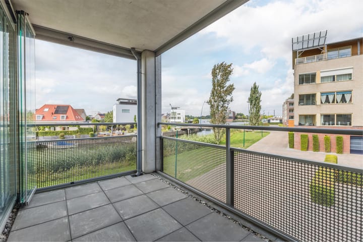 Photo 21 of Lavendel 449