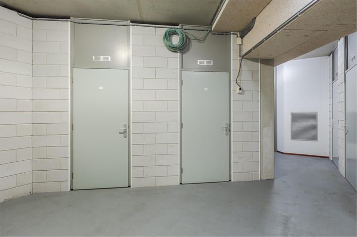 Photo 25 of Lavendel 449