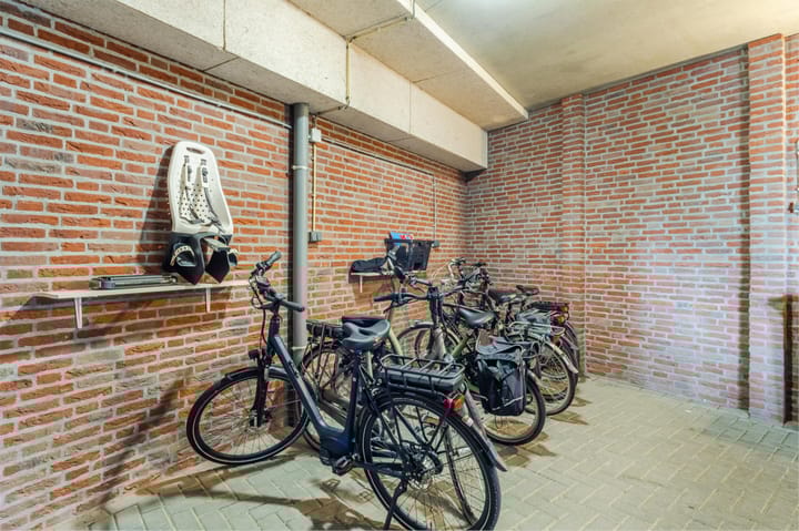 Photo 27 of Lavendel 449