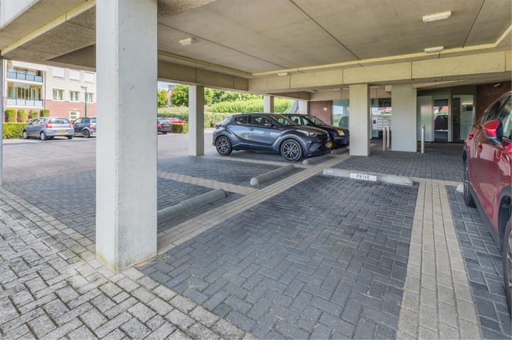 Photo 29 of Lavendel 449