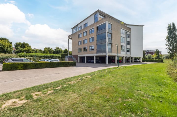 Photo 30 of Lavendel 449