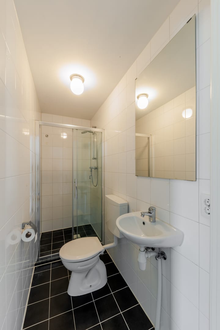 Foto 11 van Narcissenstraat 115-E