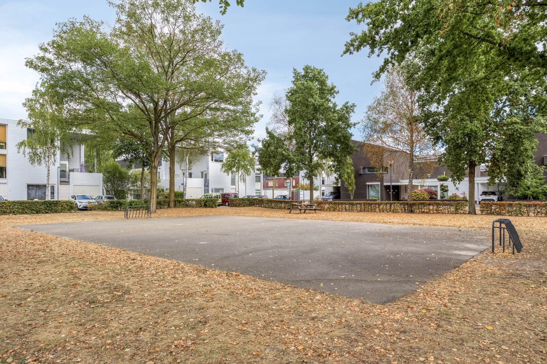 Foto 26 van Zandhaai 56