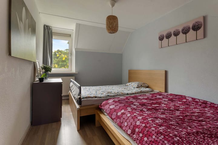 Foto 13 van Holmsterheerd 55