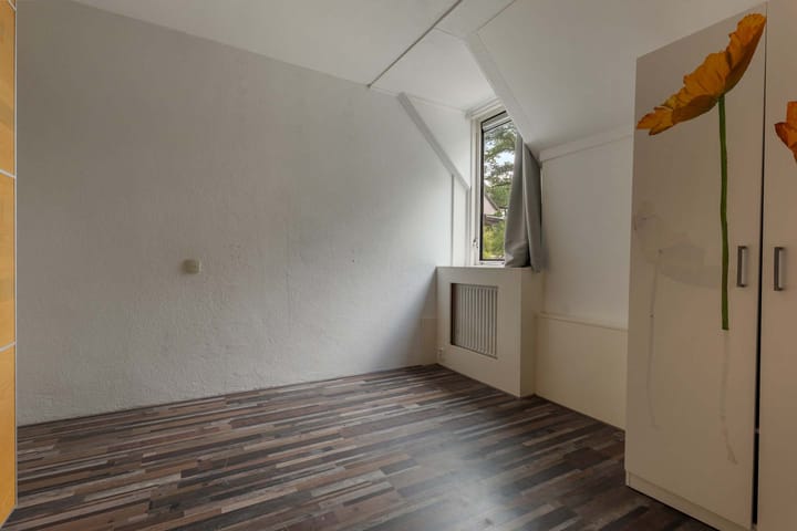 Foto 18 van Holmsterheerd 55