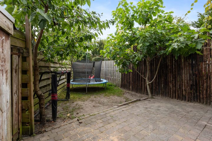 Foto 19 van Holmsterheerd 55