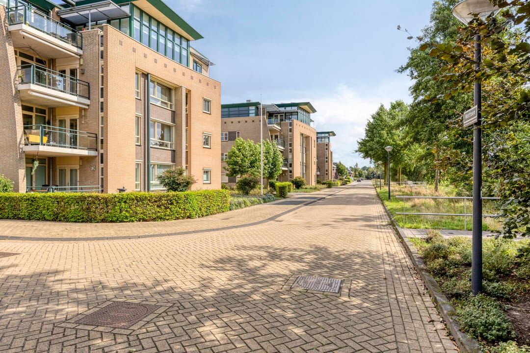 Foto 2 van Vuurijzer 3