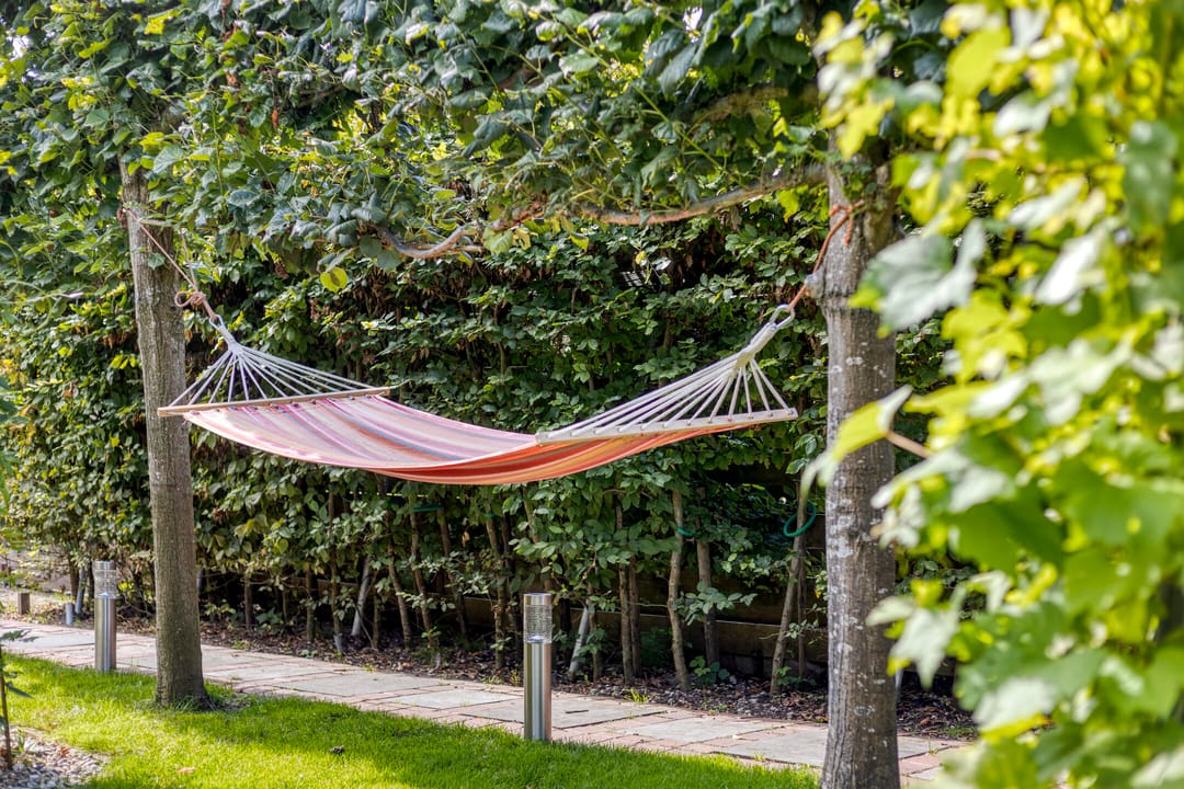 Photo 46 of Westeinde 352