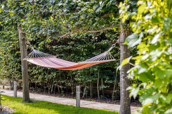 Foto 46 van Westeinde 352