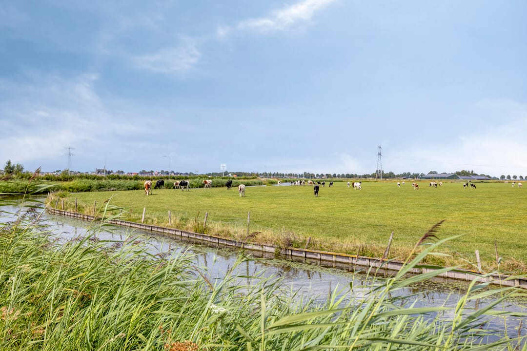 Photo 56 of Westeinde 352