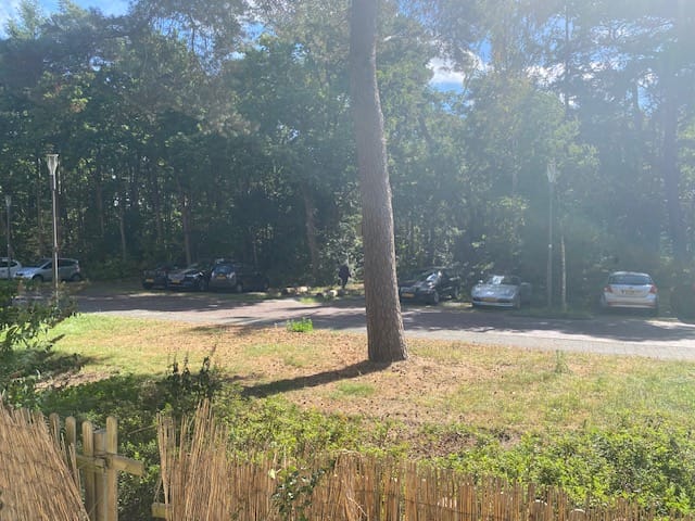 Foto 3 van Graaf Adolflaan 3