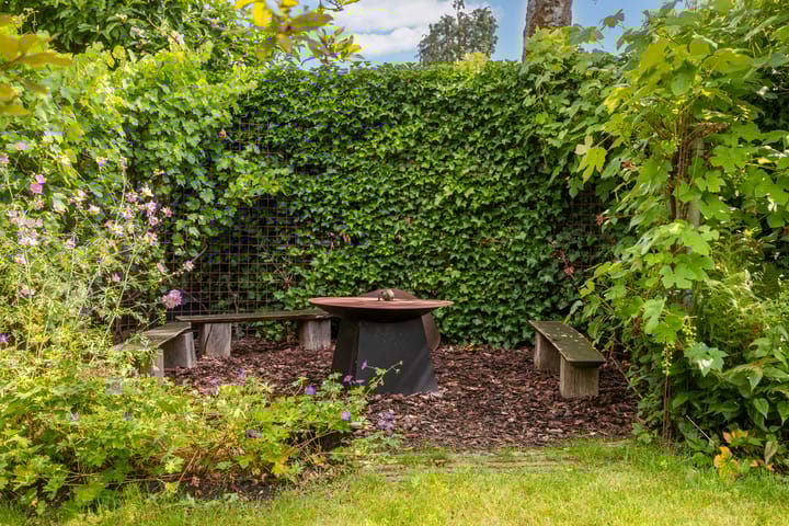 Foto 44 van Asselsestraat 297